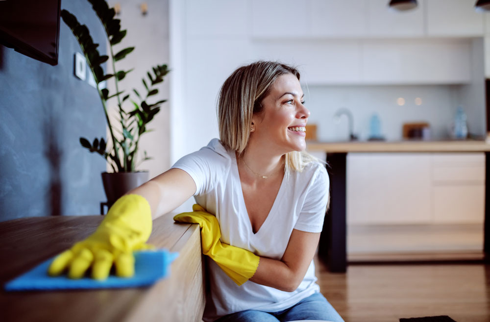Stress-Free Environment with Professional Cleaning Services